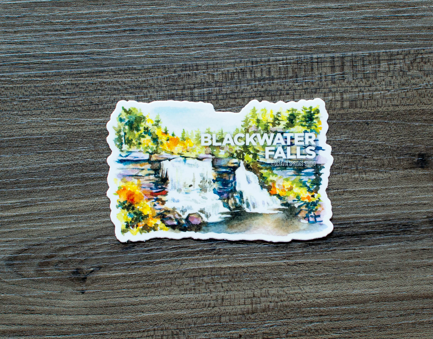 Blackwater Falls Sticker