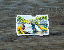 Load image into Gallery viewer, Blackwater Falls Sticker
