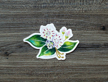 Load image into Gallery viewer, Mountain Laurel Sticker
