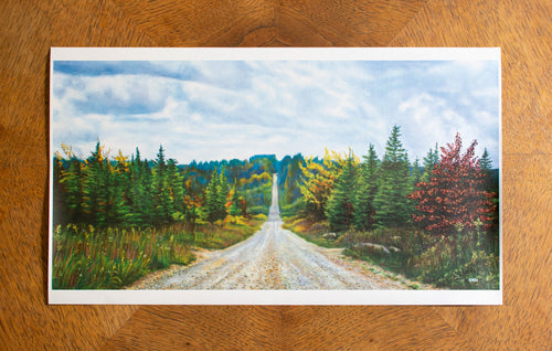 Canvas Print of Dolly Sods Roadway