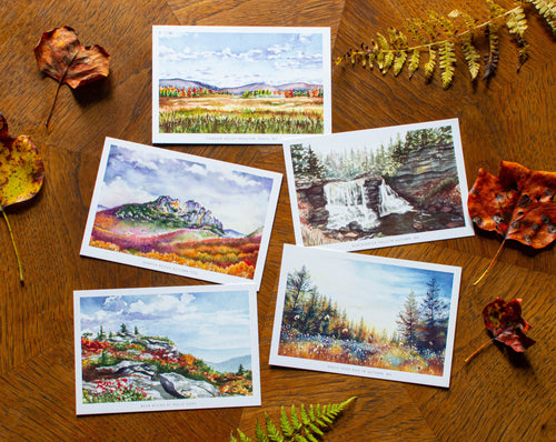 5 Monongahela National Forest Postcards